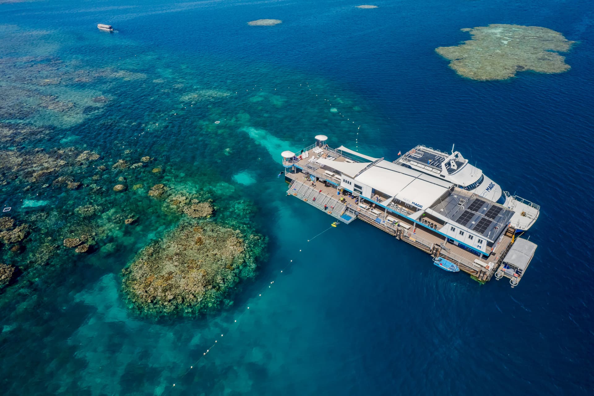 Great Barrier Reef Full-Day Pontoon Tour with Reef Magic from Cairns - image 9